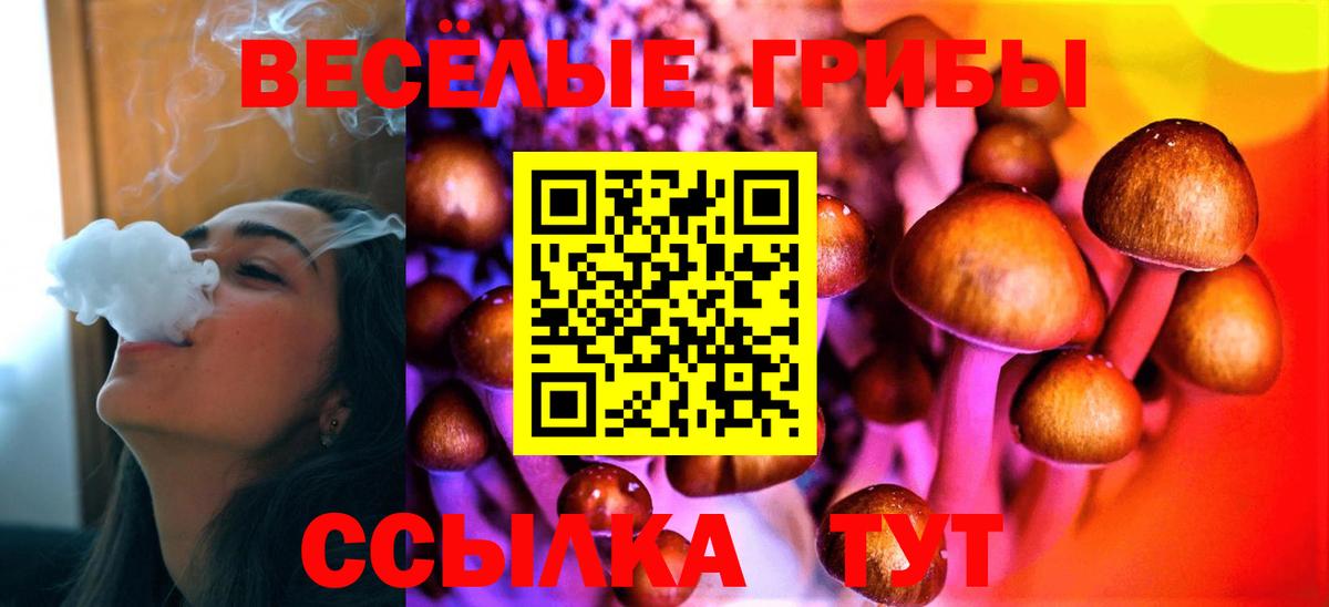 Галлюциногенные грибы прущие грибы  Вход с VPN  Чита 